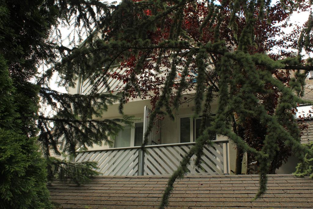 Vila Apartment Bled Lake Ngoại thất bức ảnh